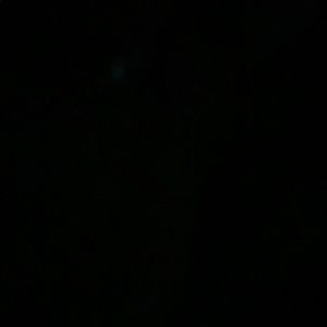 Meet your Posher, Eunice